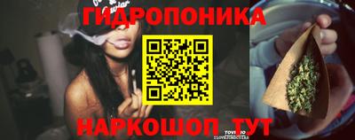 дурь Ачхой-Мартан